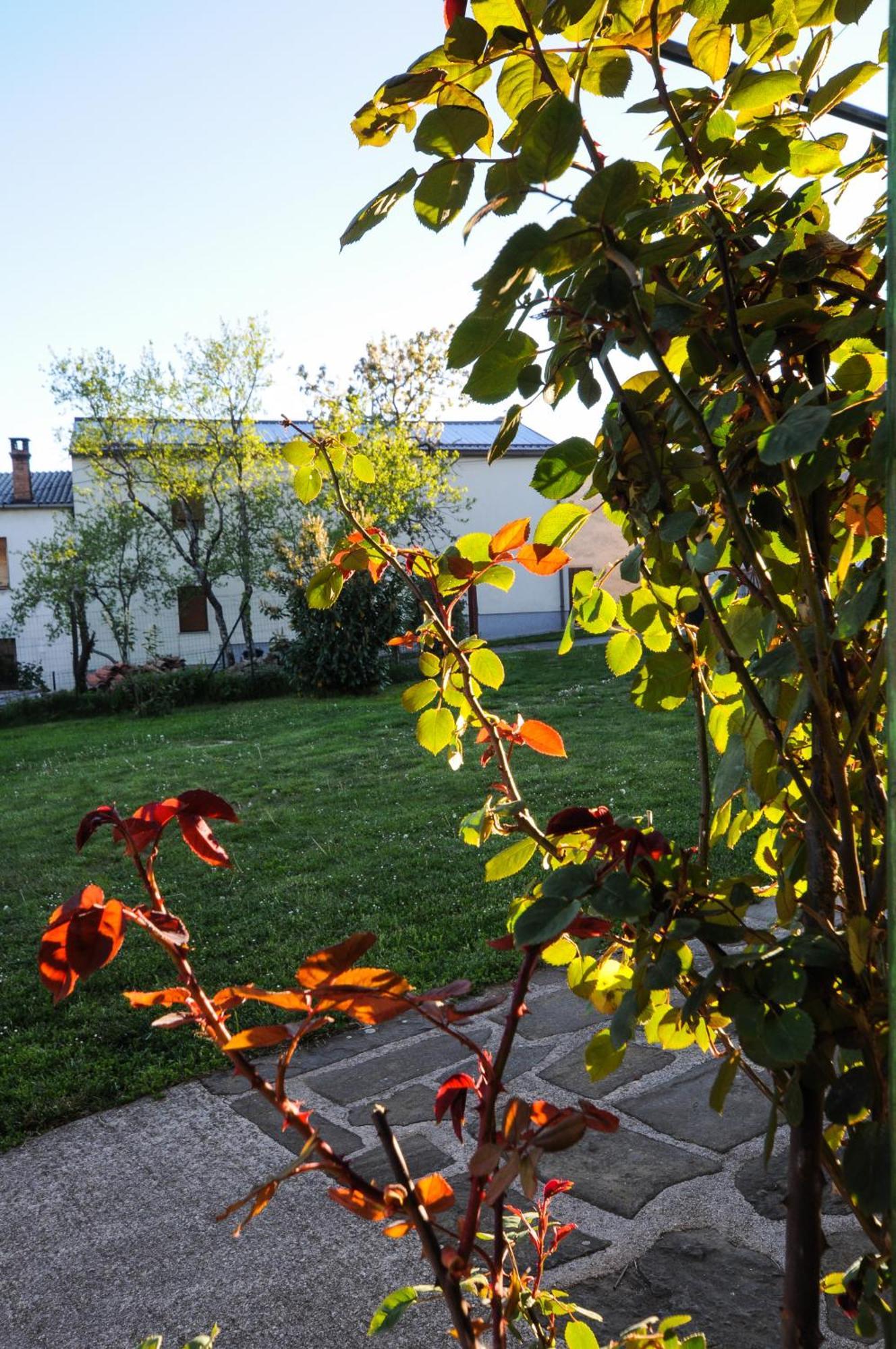 Barbara'S Village House Ilirska Bistrica Extérieur photo